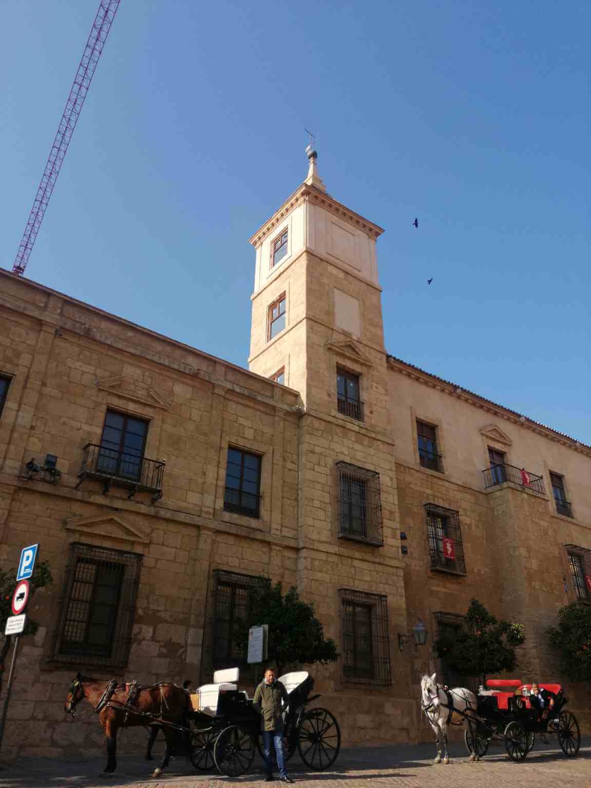 Palacio Episcopal - obra nueva en Córdoba