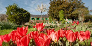 Giverny, jardín Monet- obra nueva en cordoba